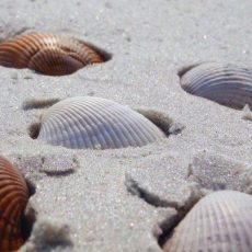 Хорошие вопросы: Главный итог лета у подростка Хорошие вопросы: Главный итог лета у подростка