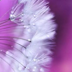 Хорошие вопросы: Про РАЗмусоривание Хорошие вопросы: Про РАЗмусоривание