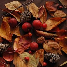 Видео-встреча: Со мной так нельзя Видео-встреча: Со мной так нельзя