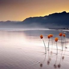 Конфликты в семье: 15 правил хорошей ссоры