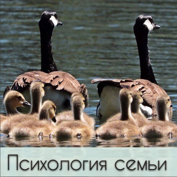 Психология семьи