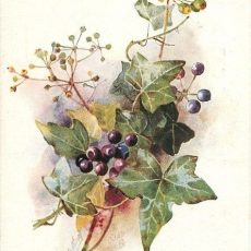 Xорошие вопросы: волшебное качество, которое называется «живучесть»