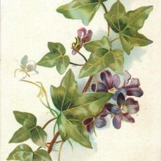 Хорошие вопросы: про живучесть, часть 2 Хорошие вопросы: про живучесть, часть 2