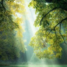 Тайм-менеджмент счастья: планируем вечера и выходные Тайм-менеджмент счастья: планируем вечера и выходные