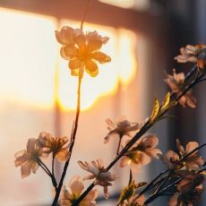 Может ли мама не работать?