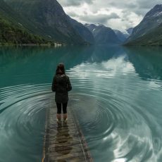 Бои без правил… Бои с подростком… Бои без правил… Бои с подростком…