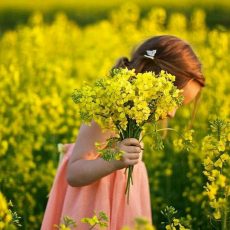 Психология развития – это так красиво!