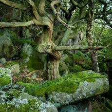 Двойняшки — нонстоп и улыбка мироздания