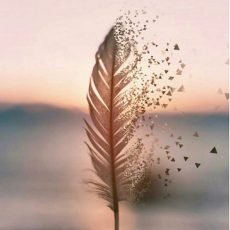 Первая и единственная