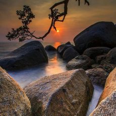 Дети — хамелеончики?