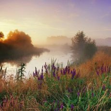Свежий воздух — враг семьи