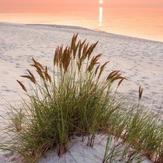 Зачем говоришь, что устала — ты же не работаешь