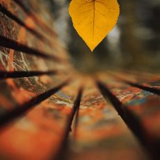 Про вещевую тревогу