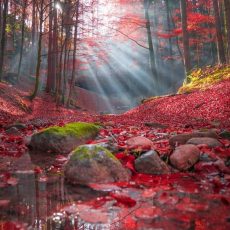 Трудности и параллельные режимы