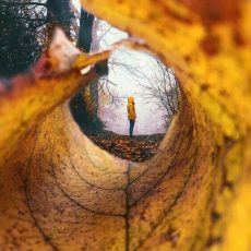 Как общаться с мамой, если так и не оправдал ее надежд