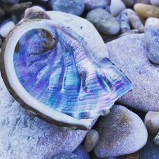 Одиночество – невозможно?