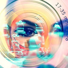 3 типа реакции на стресс: борись, замри, беги.