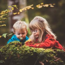 2 ребёнка в семье — счастье или сплошные проблемы?