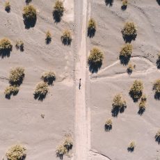 «Сейчас начинаются самые трудные дни» — 10 советов психолога, как пережить карантин в семье