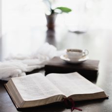 Не быть мамой. 15 минут в день Не быть мамой. 15 минут в день