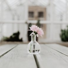 Она просто хотела развестись. Просто неудержимо тянуло