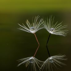 Ищите ответы в себе! 9 вопросов в помощь родителям подростка
