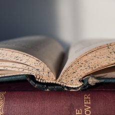 Топ-6 книг для начала учебного года