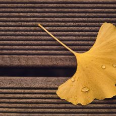 ТОП-5 игр, в которые можно играть, когда совсем нет сил, и всем будет счастье