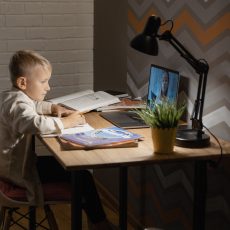 Психолог дала советы по организации дистанционного обучения дома