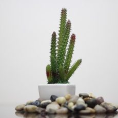 Как правильно критиковать ребенка