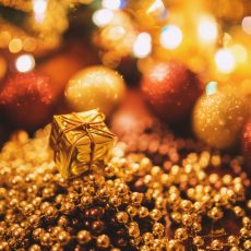 17 пунктов для того, чтобы никого не съесть под Новый Год!