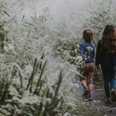 Брат на брата: детские ссоры